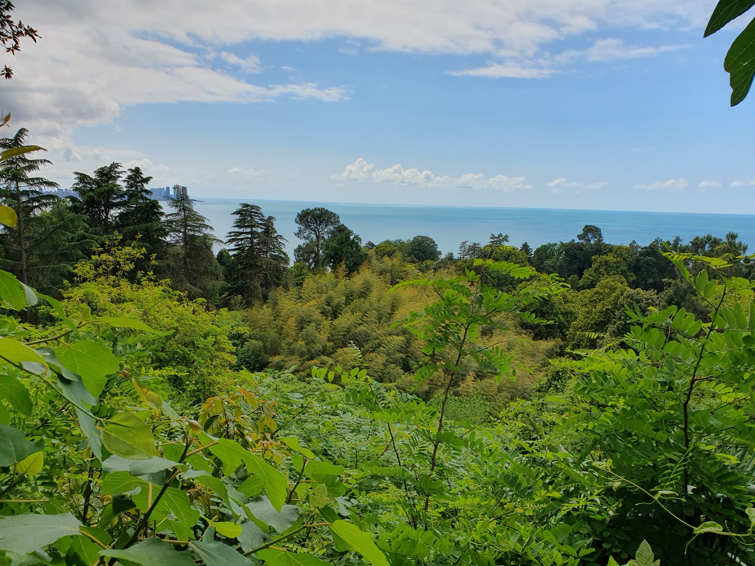 teaser for Зеленый мыс