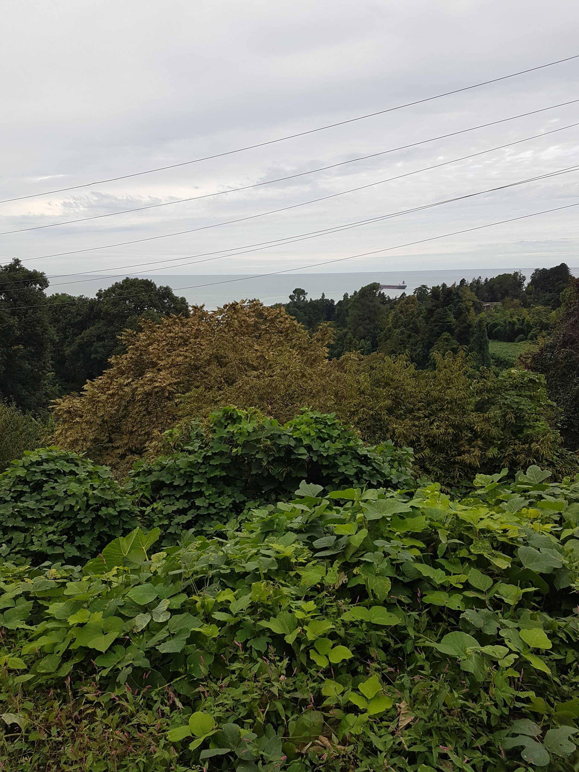 Вид на чёрное море