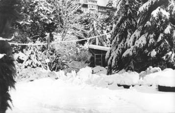 снегопад. Зелёны мыс