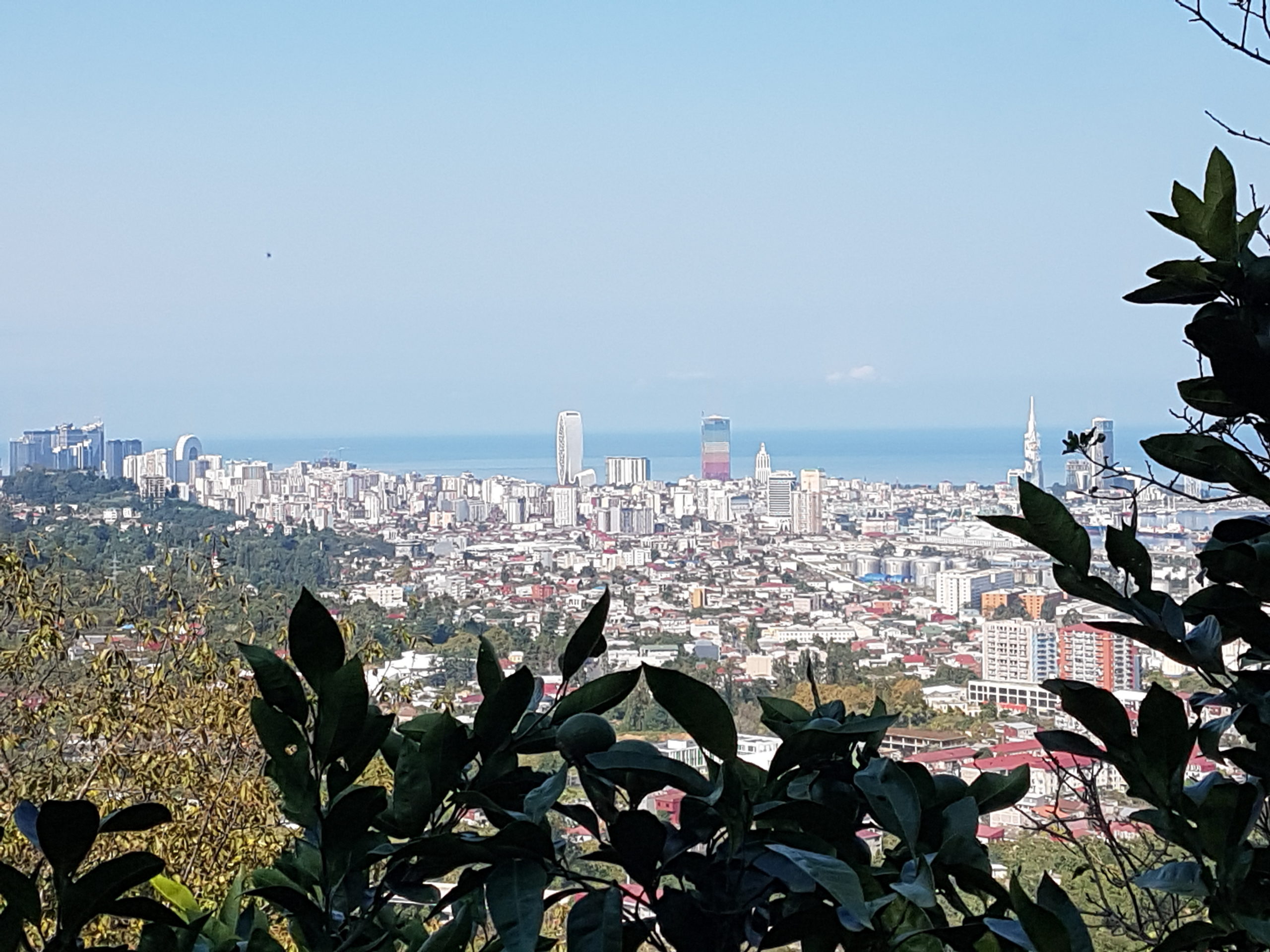 вид на Батуми с холма