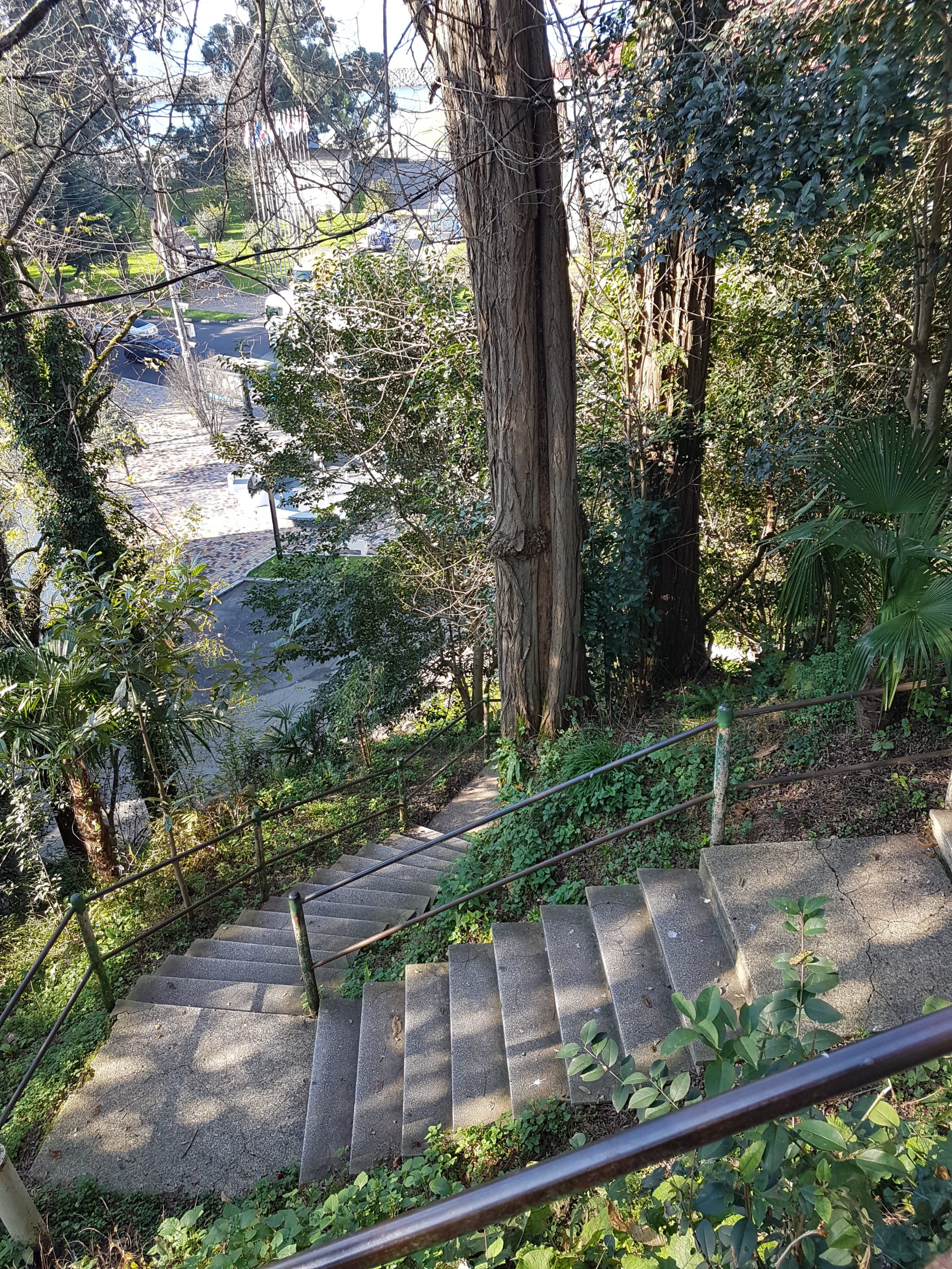 лестница ведущая на холм