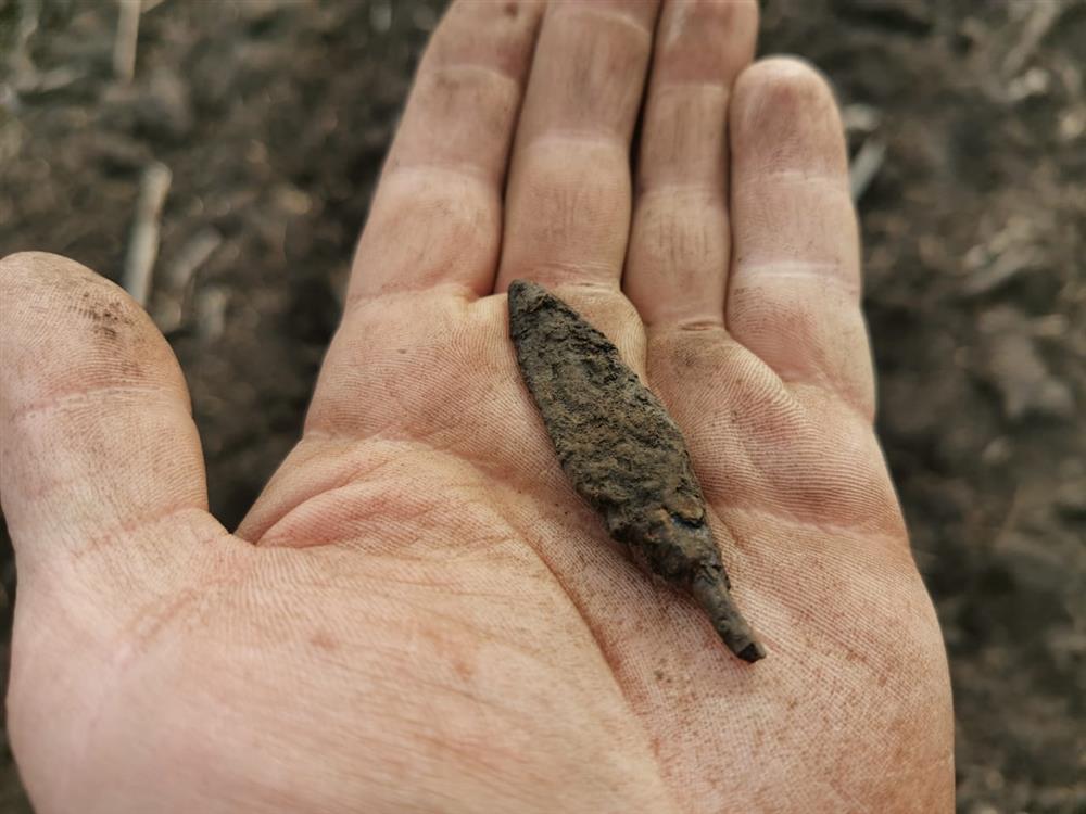 находка на ладони археолога