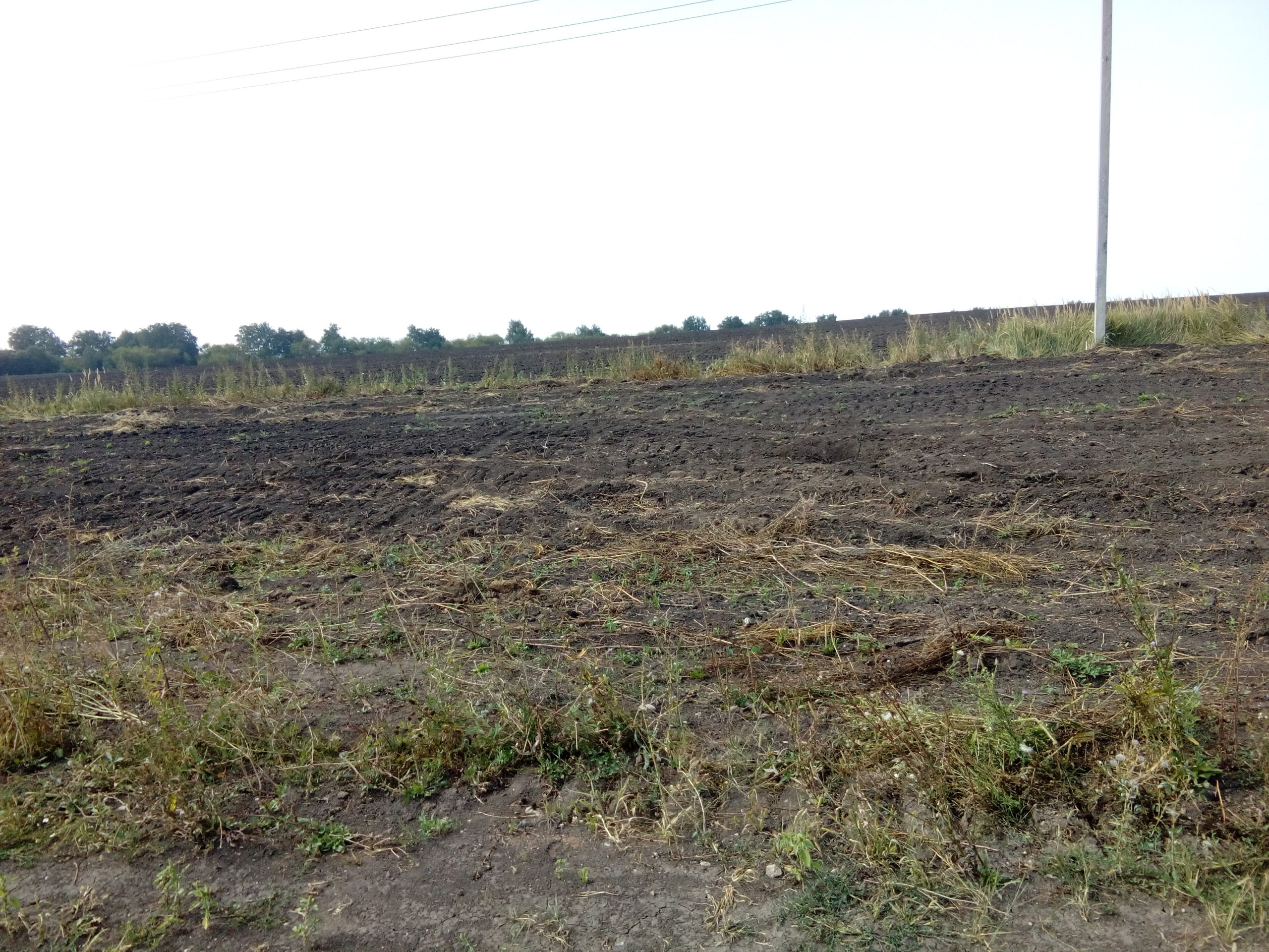 поле сражение в наше время