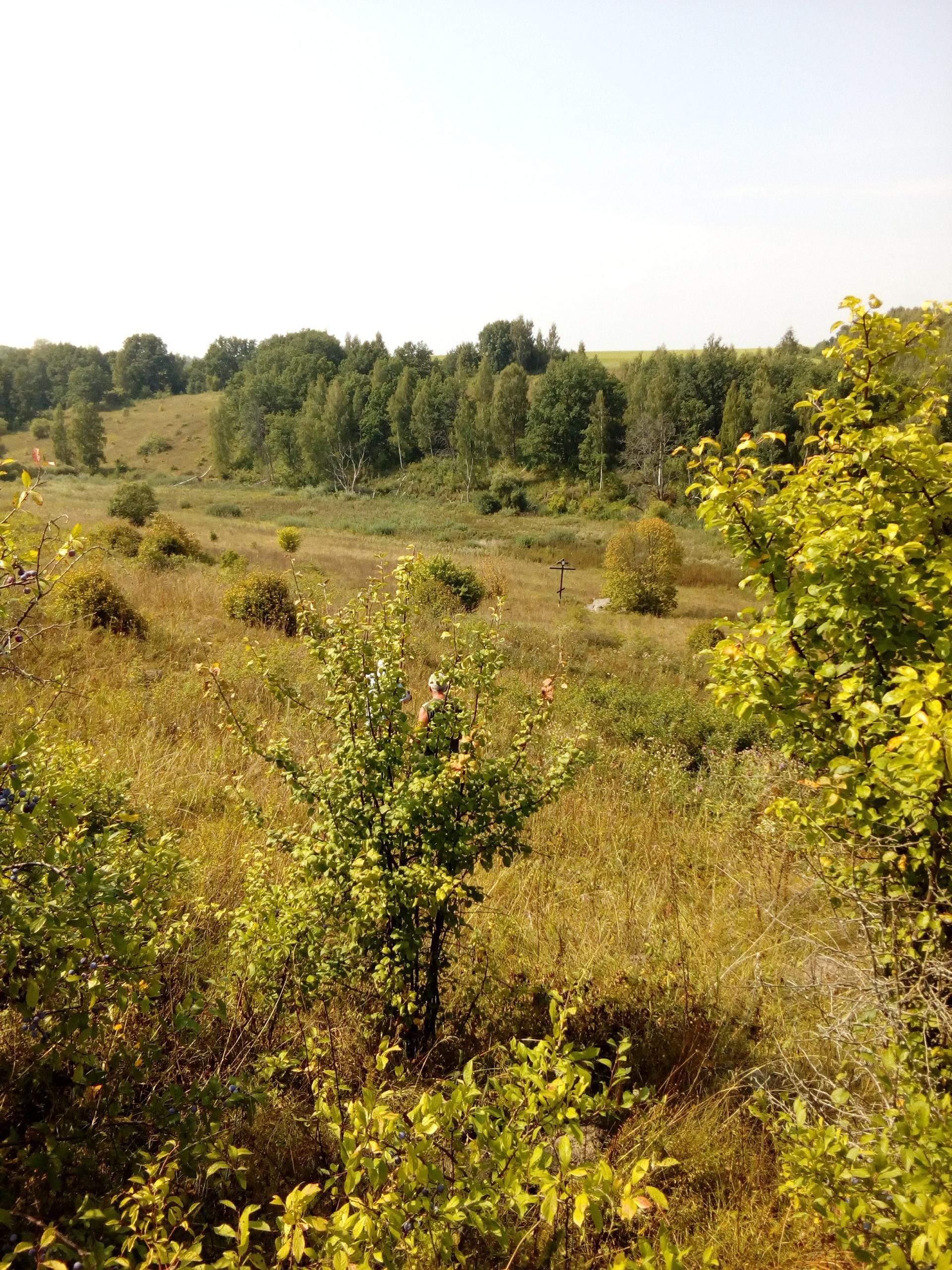 крест и камень издалека