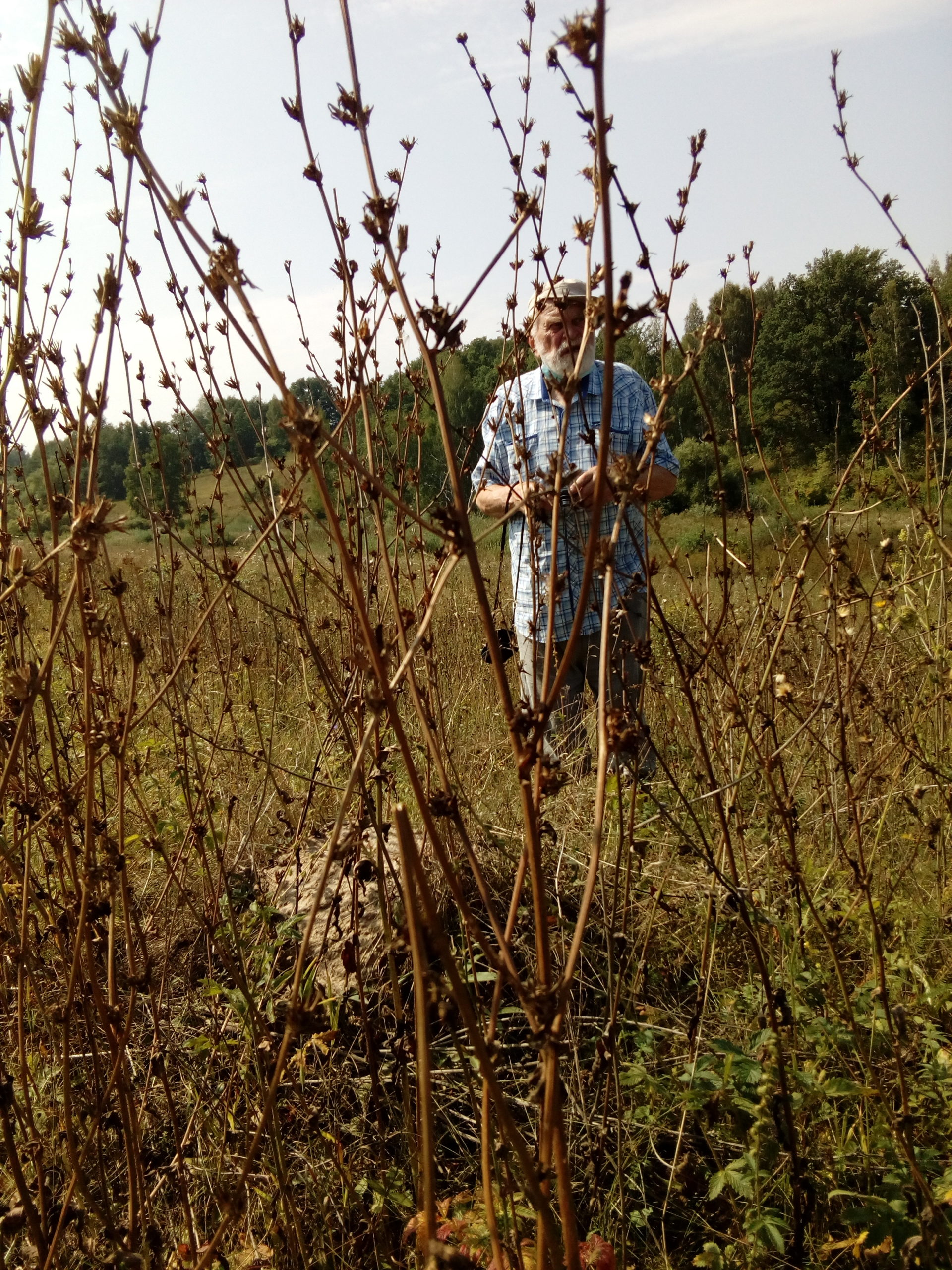 Григорий Лазарев в Ольховецкой лощине