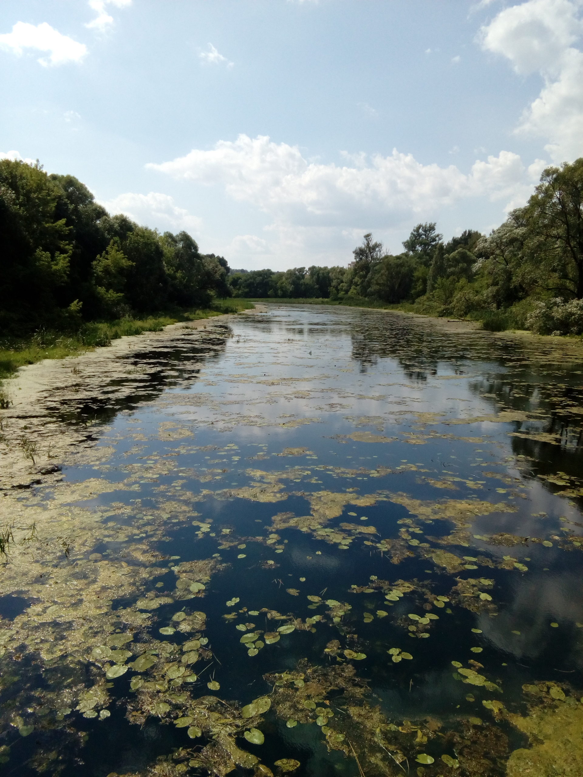 вид на реку Чернь