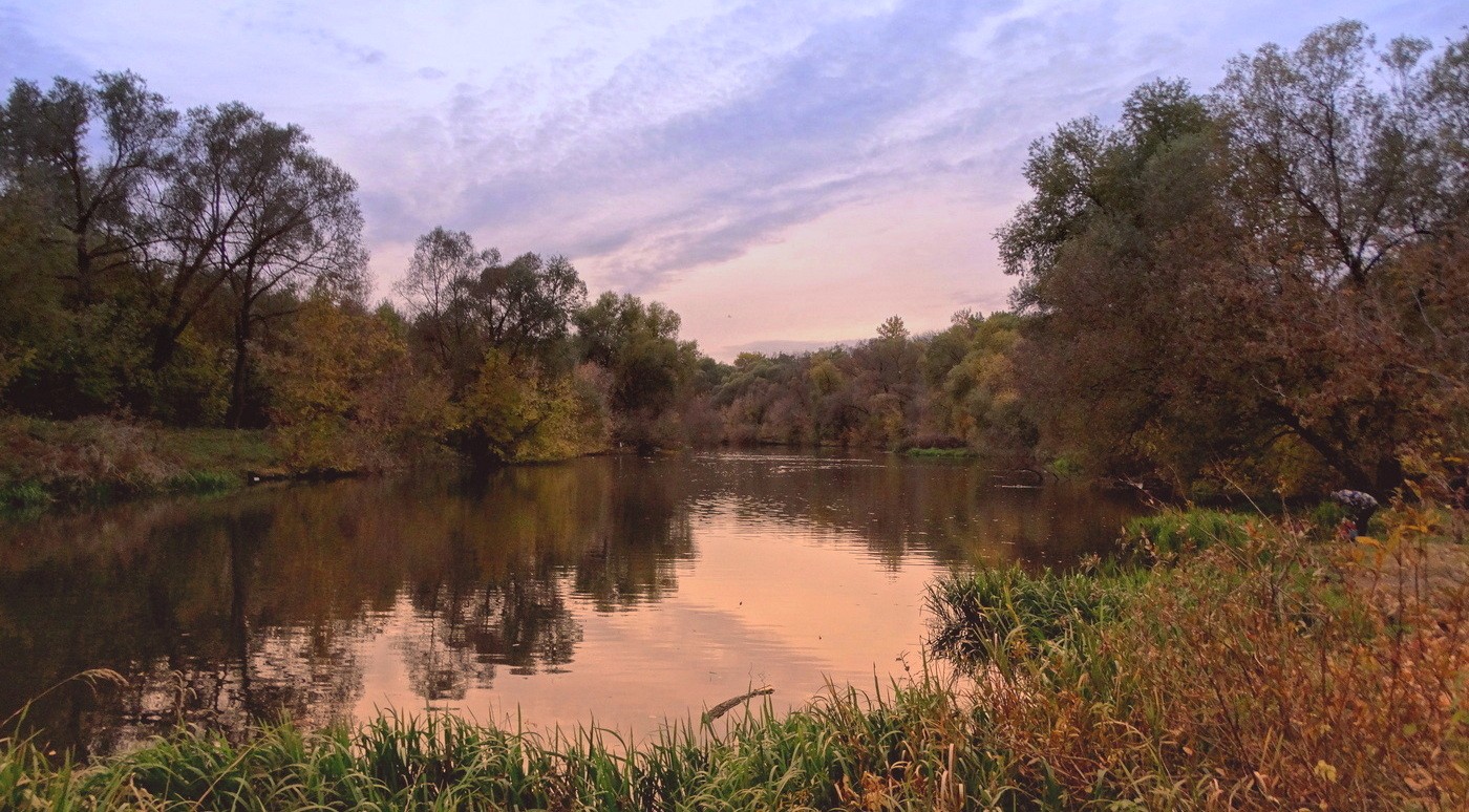 вид на Орлик и растительность вокруг