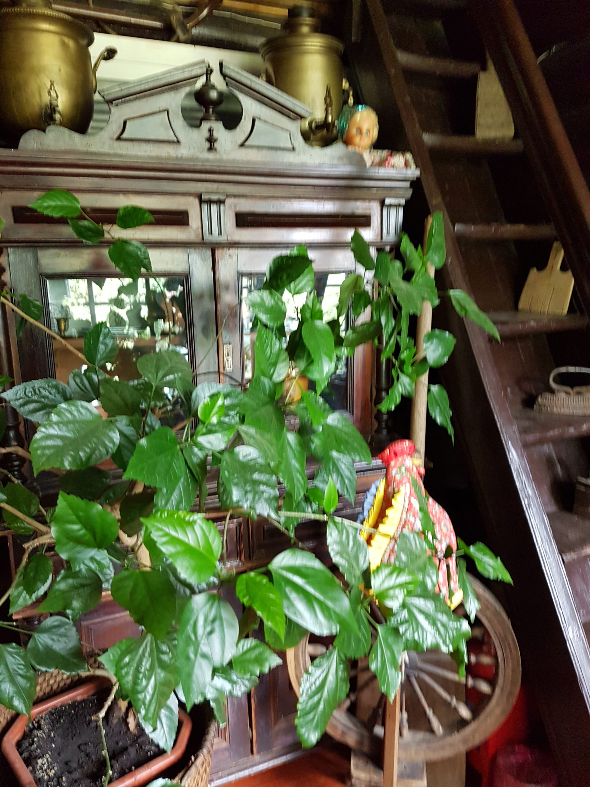 шкав в доме Андреева