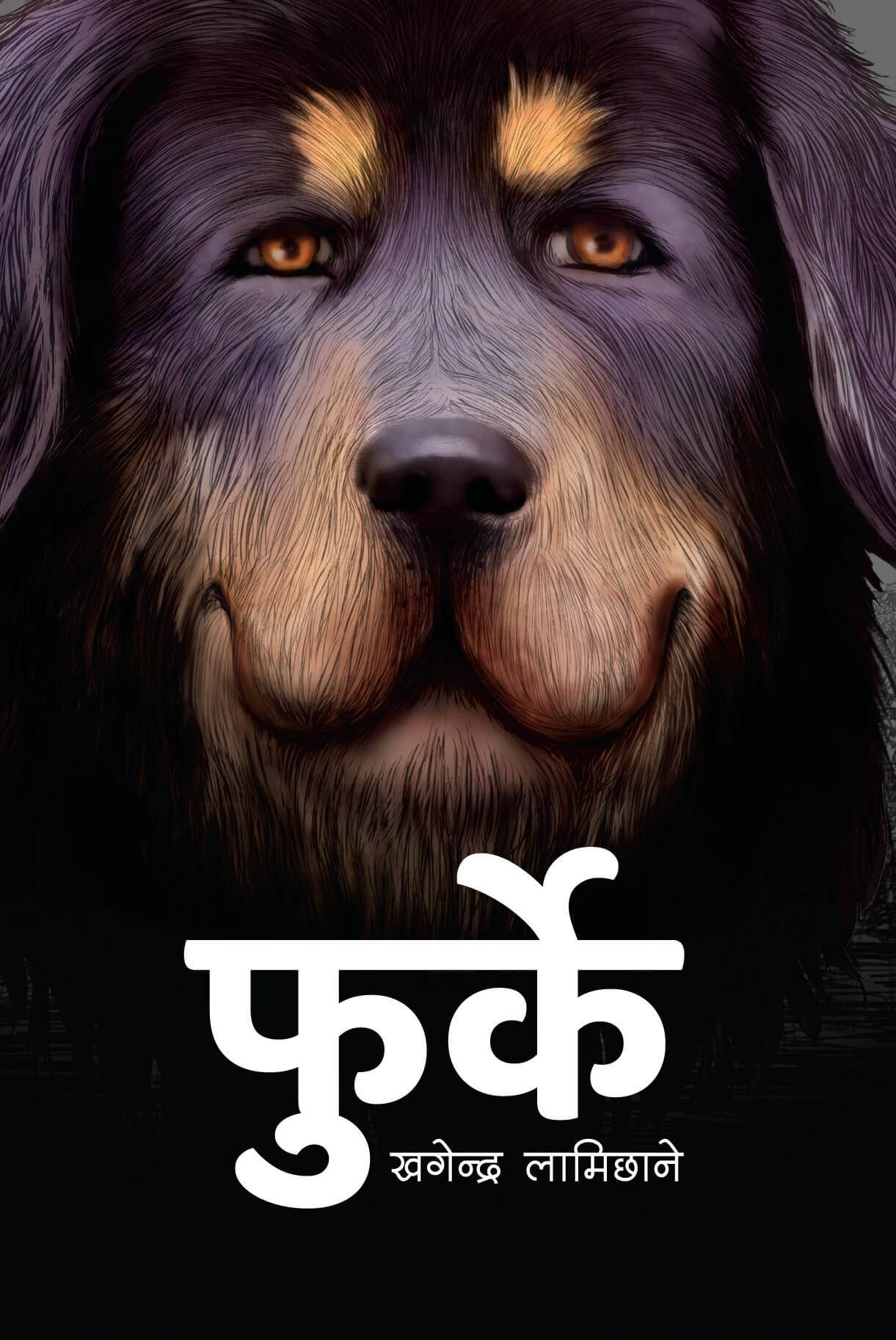Furke by Khagendra Lamichhane, book cover