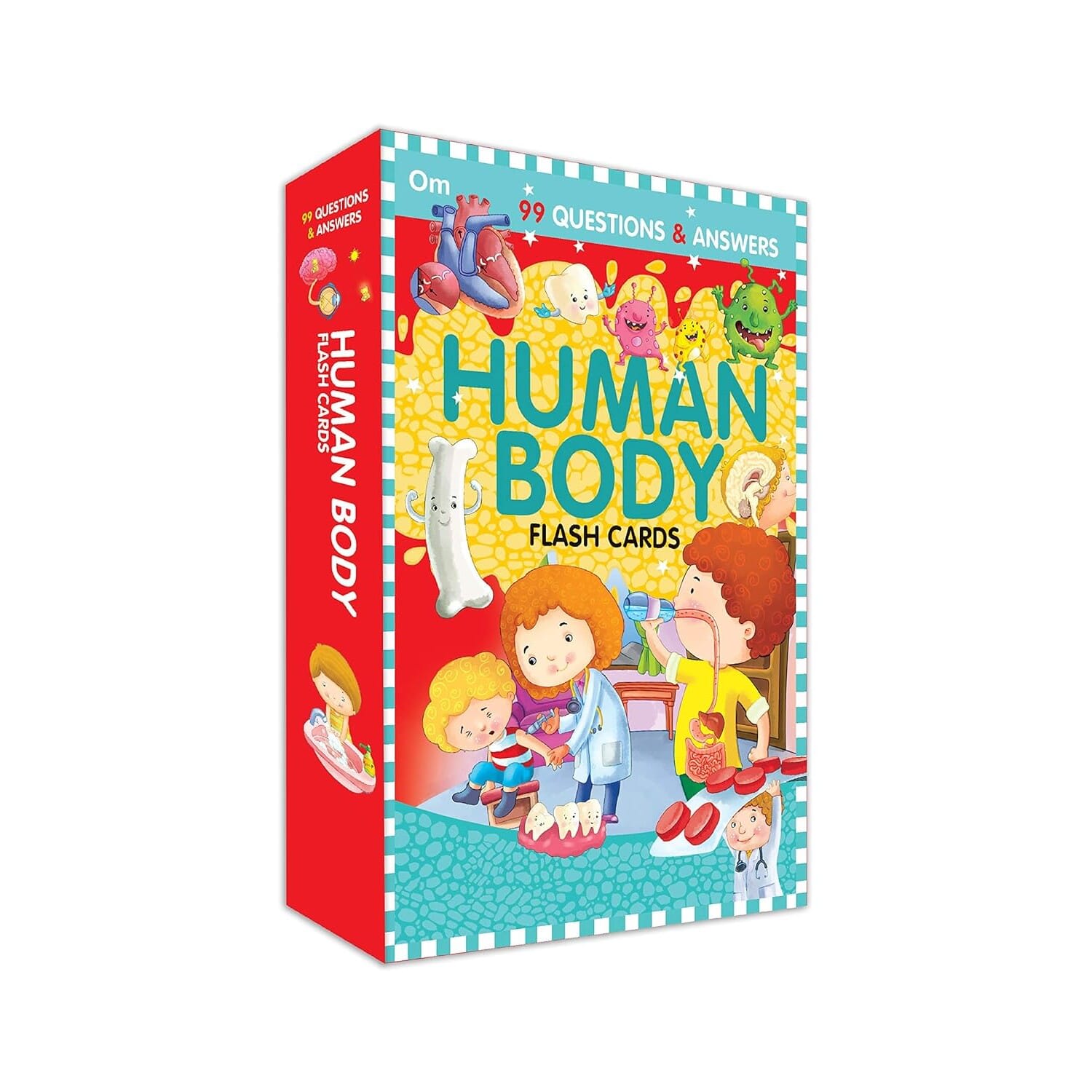 Flash Cards : 99 Questions and Answers - Human Body by Unknown, book cover