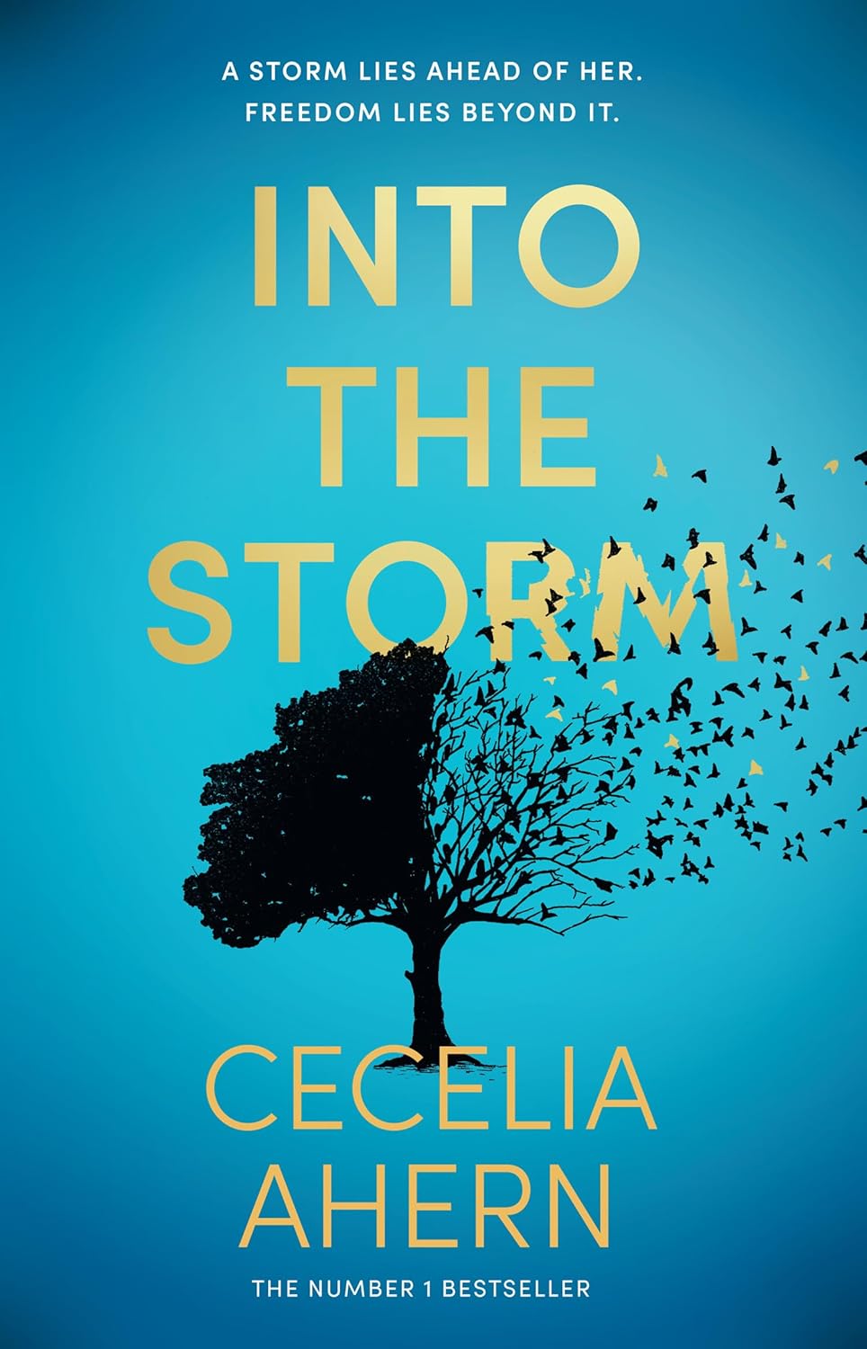 Into the Storm by Unknown, book cover