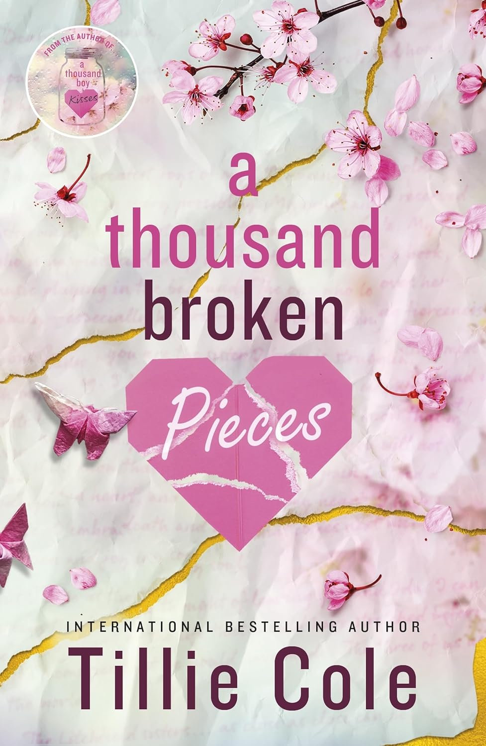 A Thousand Broken Pieces by Tillie Cole, book cover