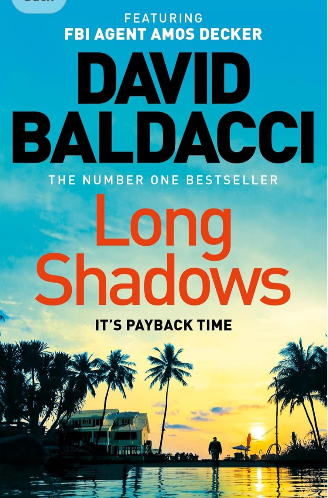 Long Shadows by David Baldacci, book cover