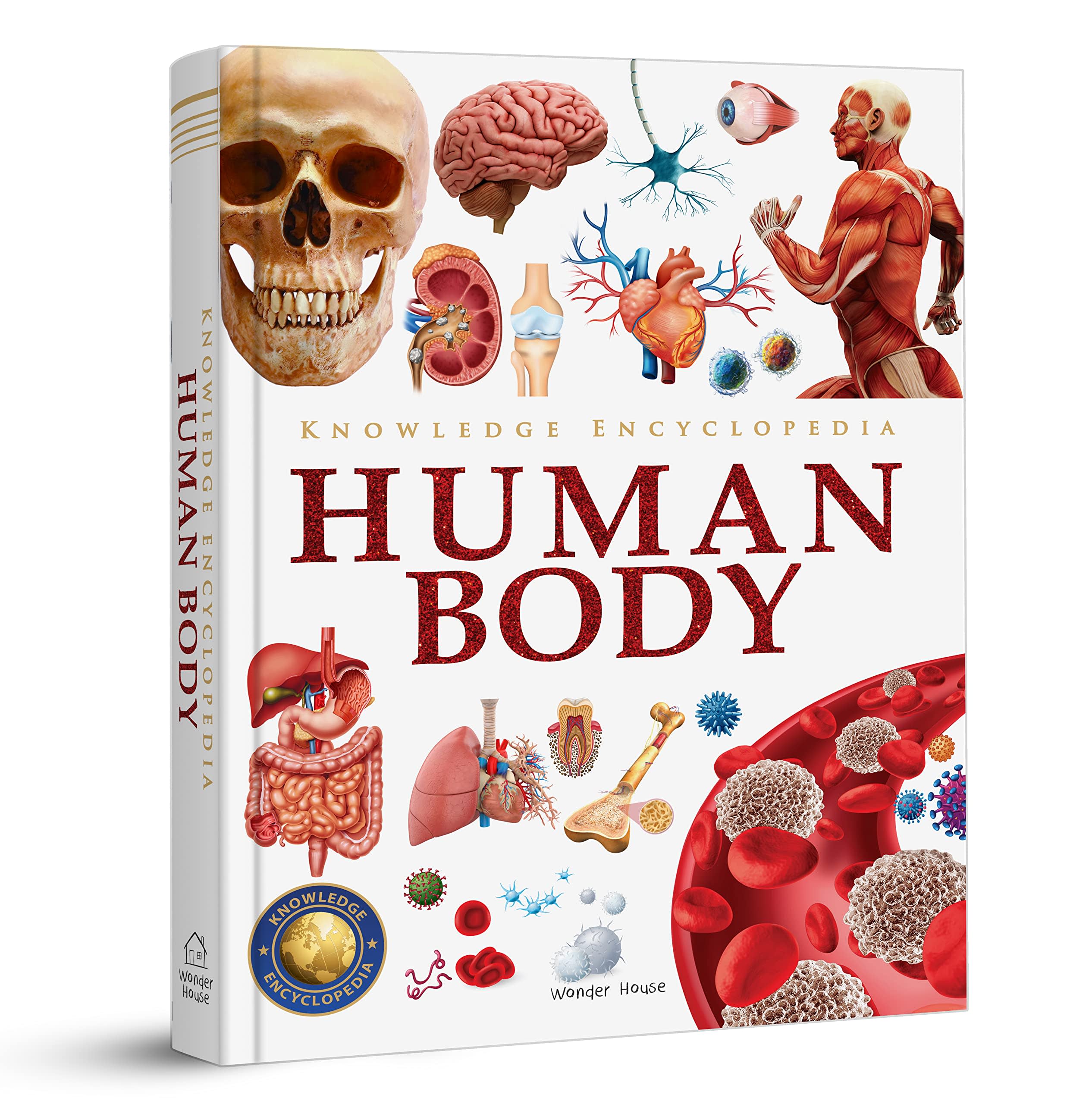 Knowledge Encyclopedia - Human Body by Wonder House Books, book cover
