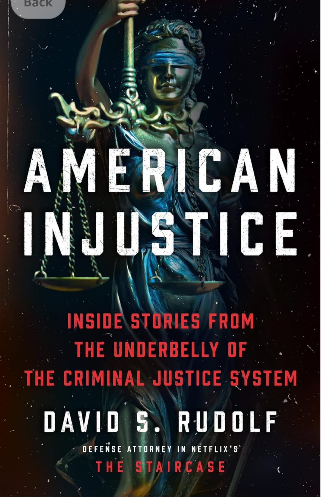 American Injustice: Inside Stories from the Underbelly of the Criminal Justice System by David S. Rudolf, book cover