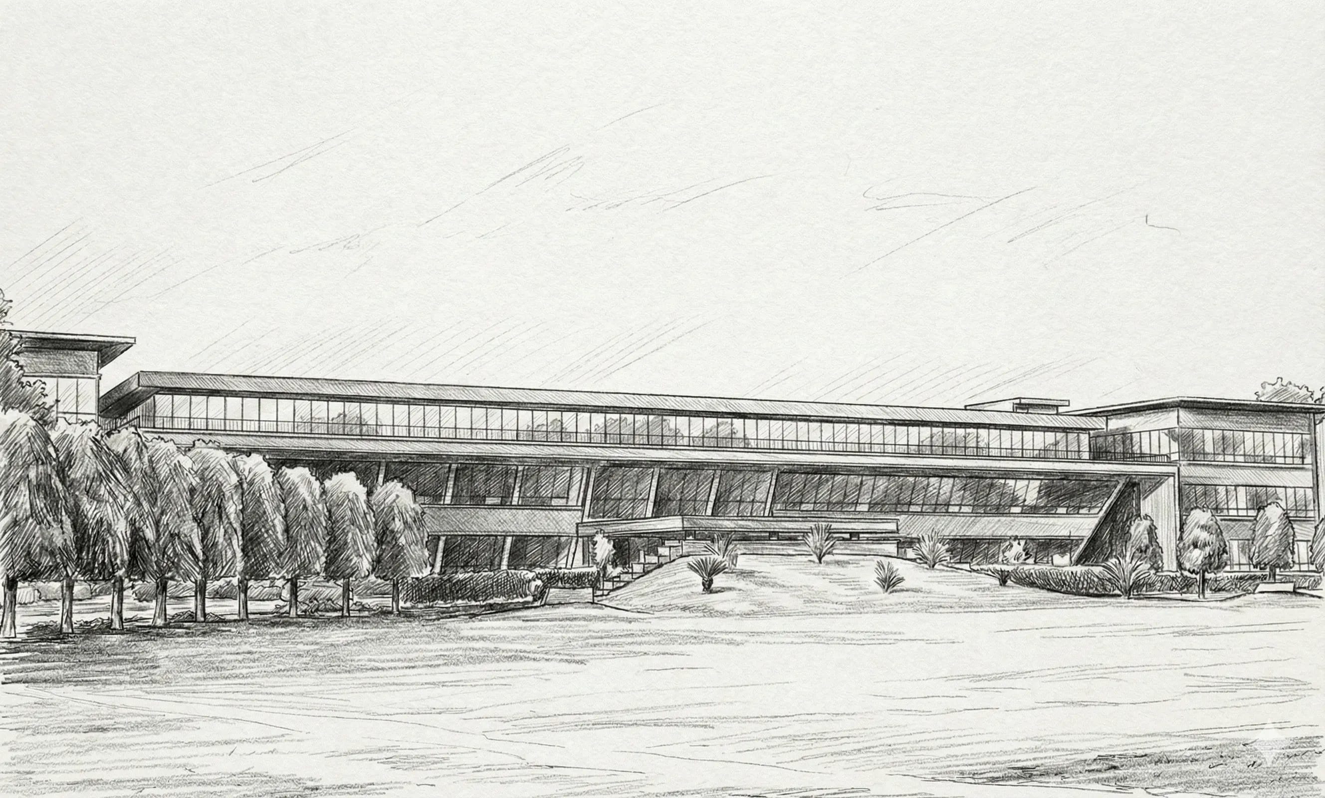 tlsas sketch