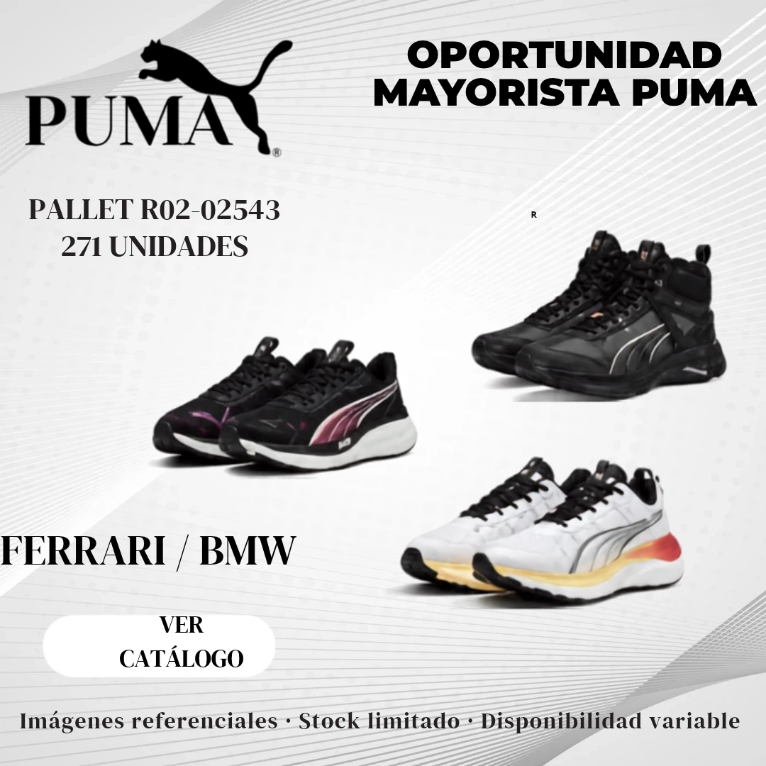 PALLET R02-02543 MAYORISTA PUMA -FERRARI / BMW- 271 UNIDADES - VESTUARIO · ACCESORIOS · CALZADO - Imagen 1
