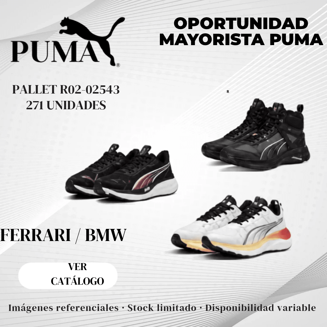 PALLET R02-02543 MAYORISTA PUMA -FERRARI / BMW- 271 UNIDADES - VESTUARIO · ACCESORIOS · CALZADO - Miniatura 1