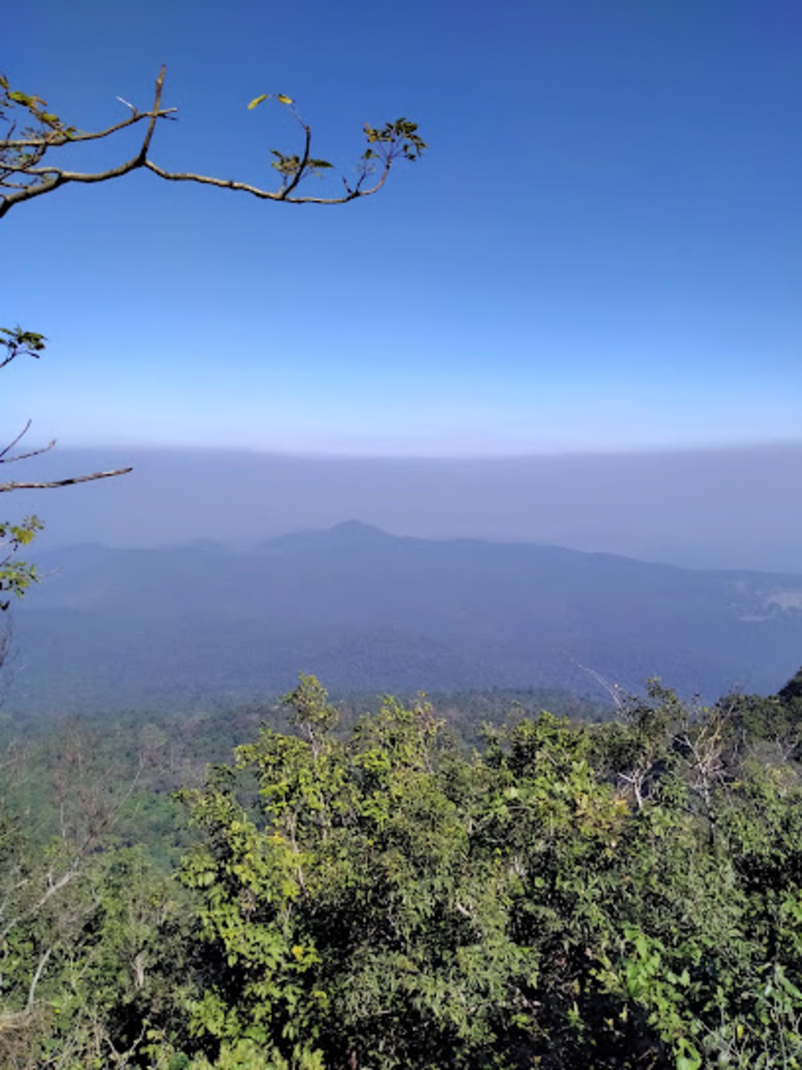 Dalma Hill Top