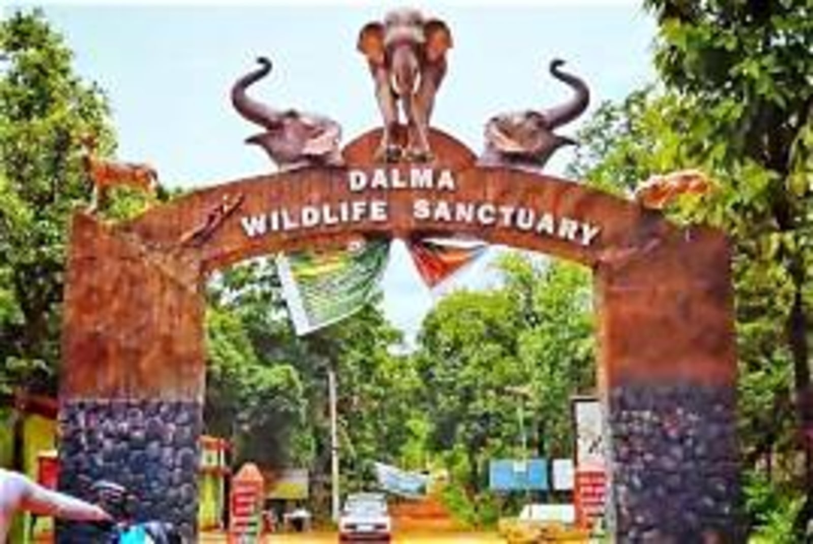 Dalma Wildlife Sanctuary