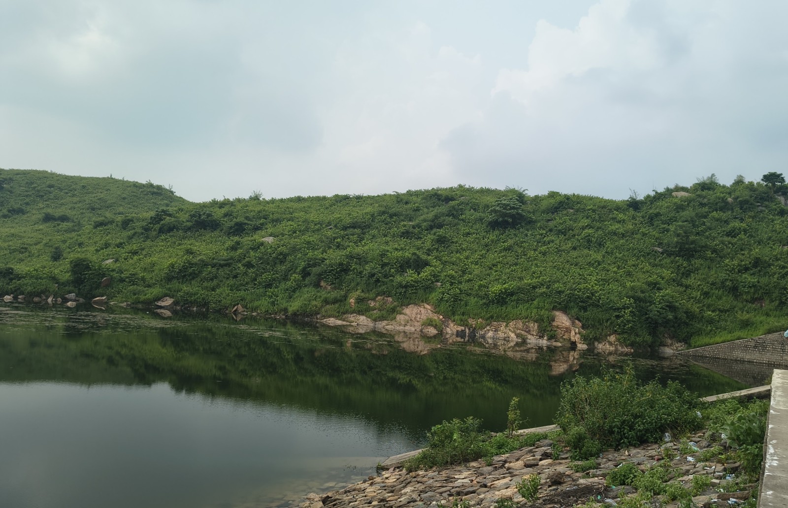 Daltonganj Hill Forest