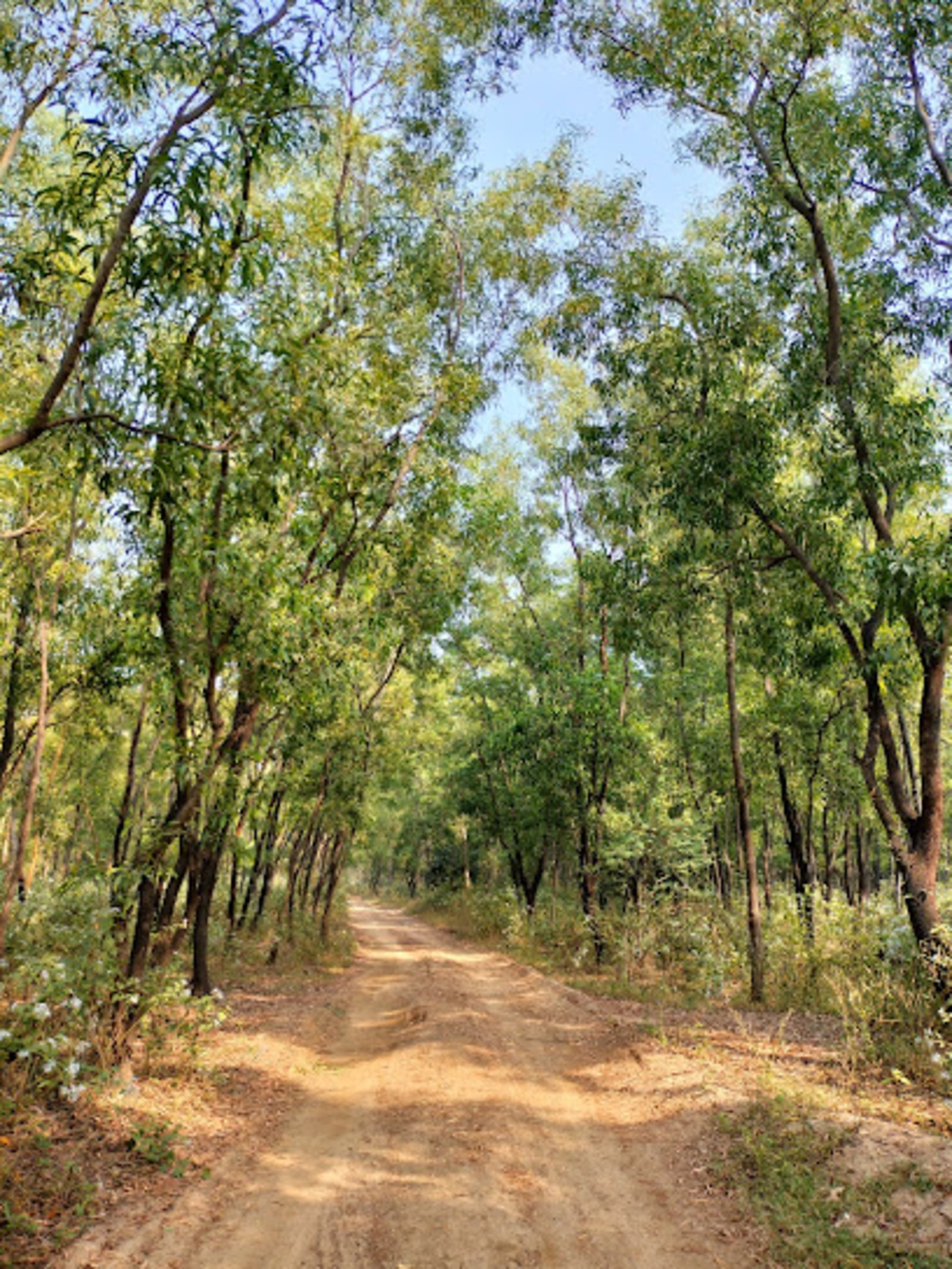 Kashidanga Picnic Spot