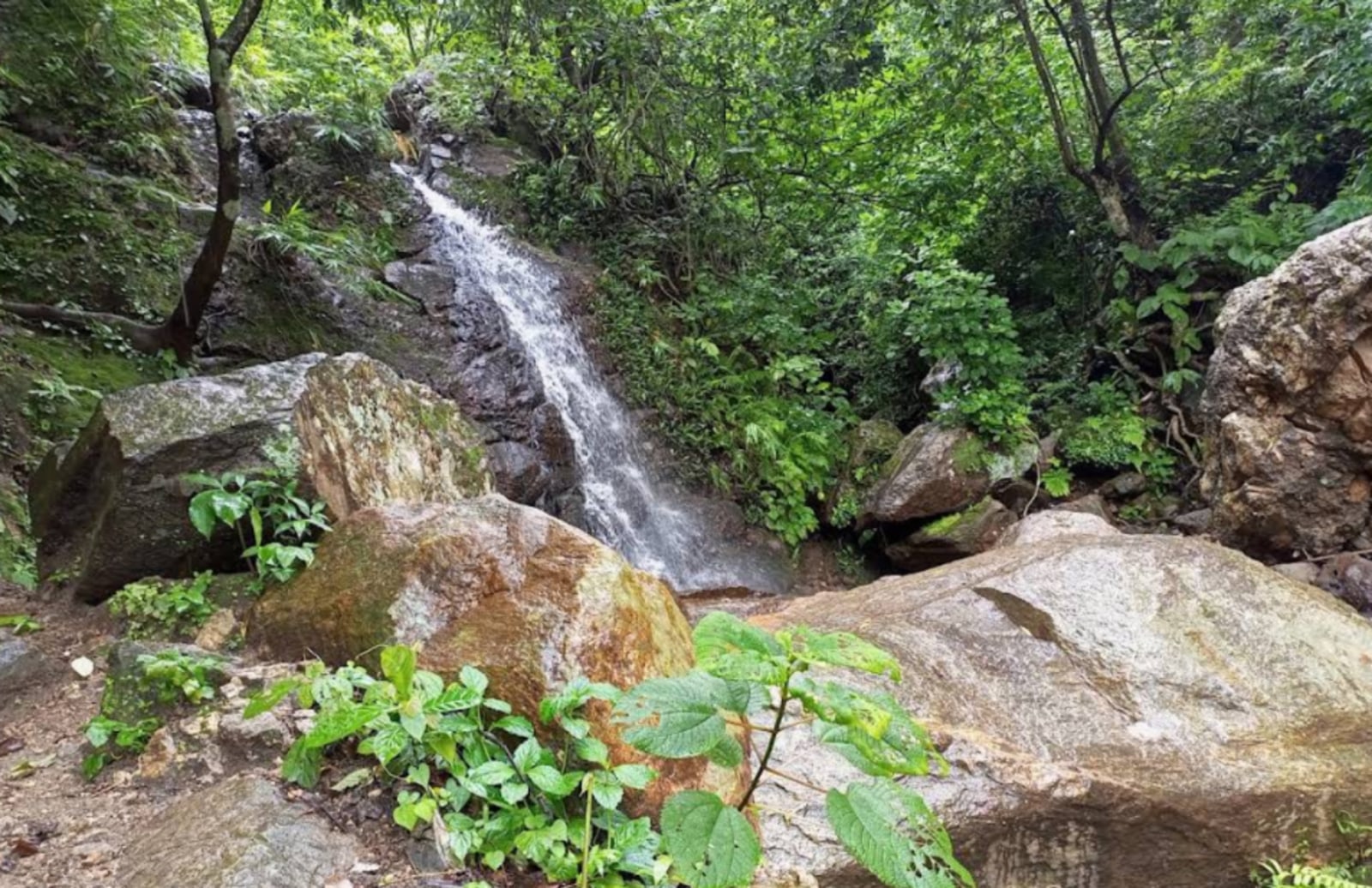 Kekrang Waterfall