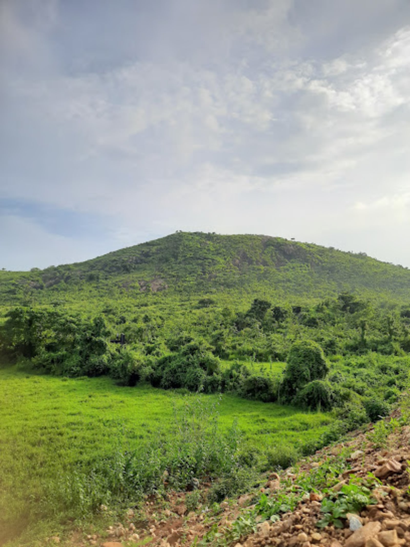 Khankripa Hill View