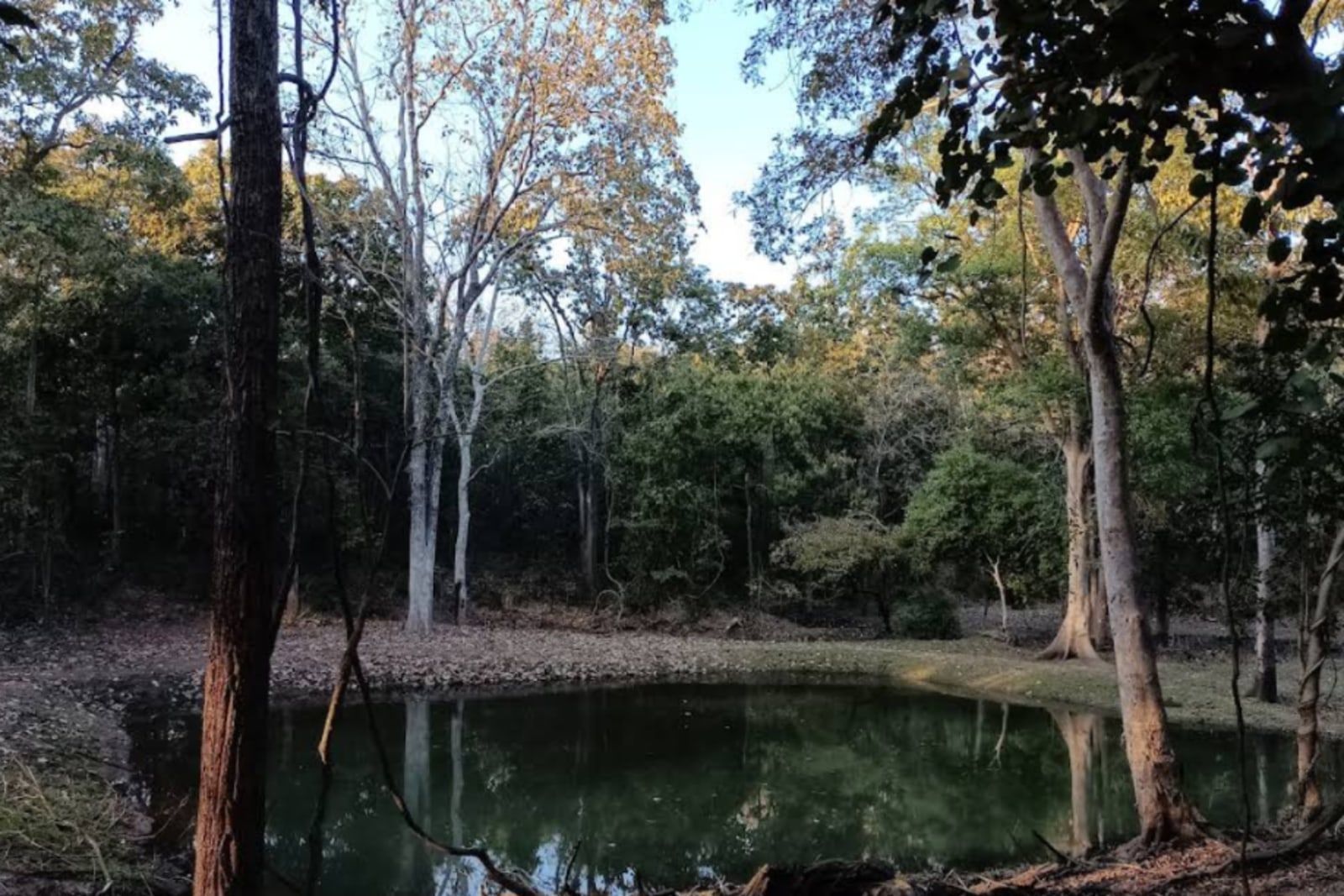 Koderma Wildlife Sanctuary