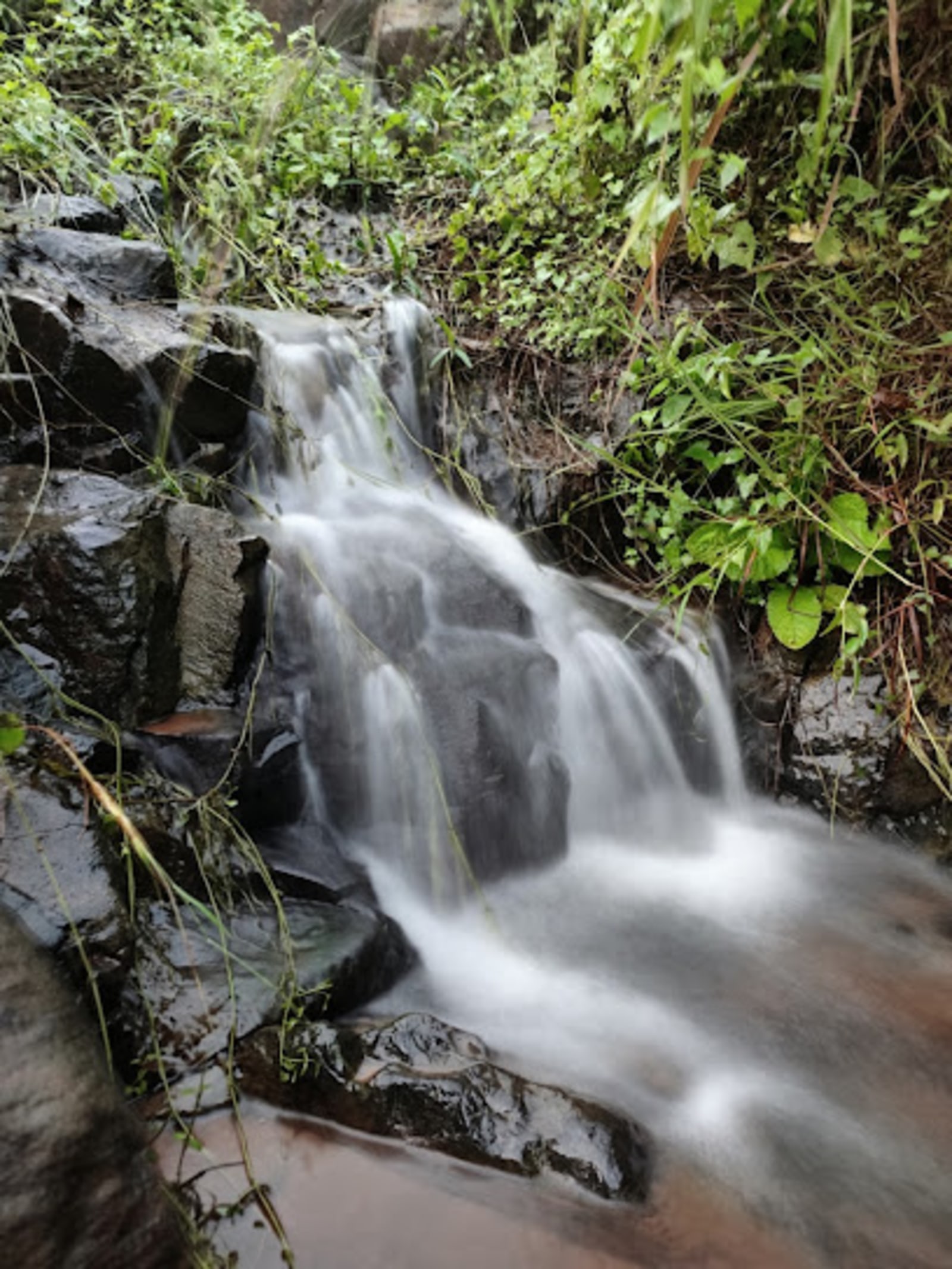 Local Jharna