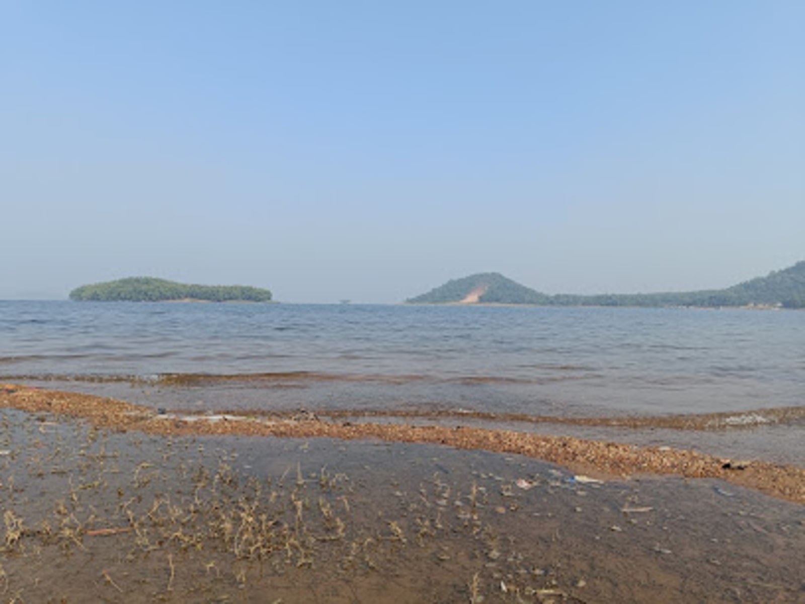 Maithon Forest