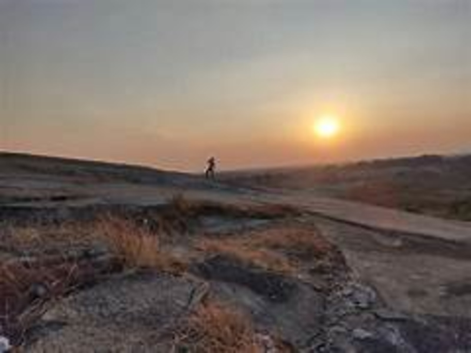 Marsalli Pahar