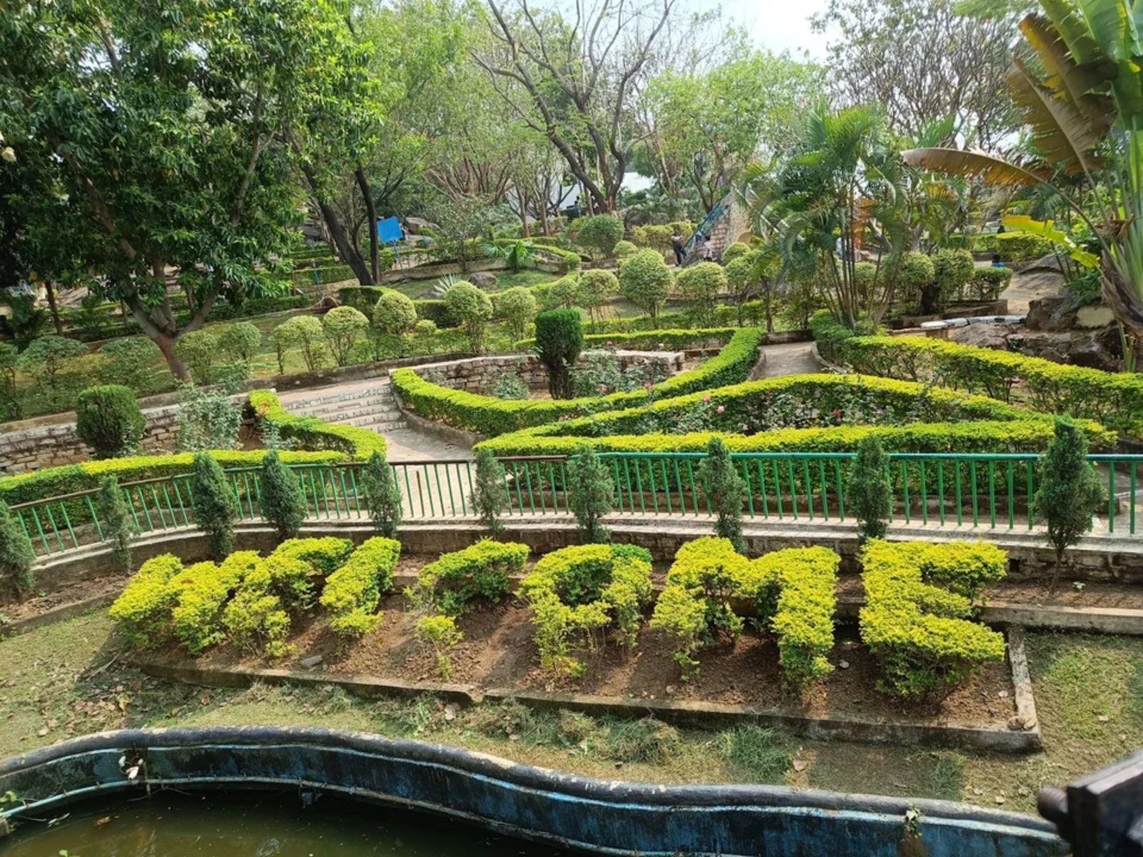 Rock Garden