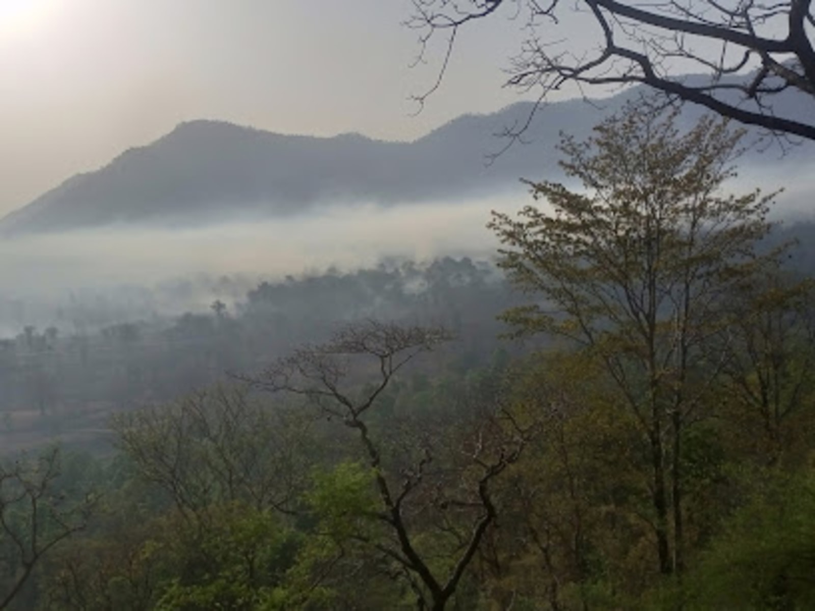 Sarju Valley Viewpoint