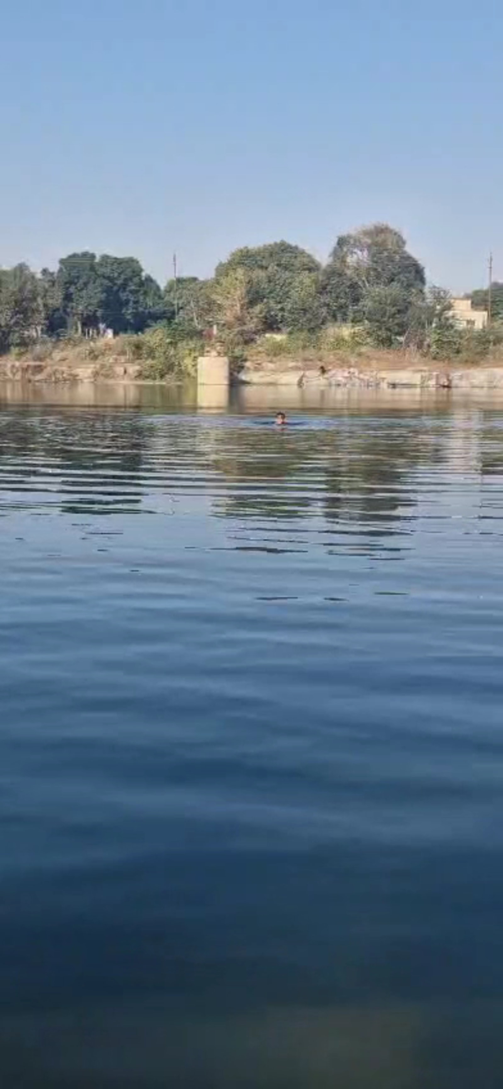 Shark Lake
