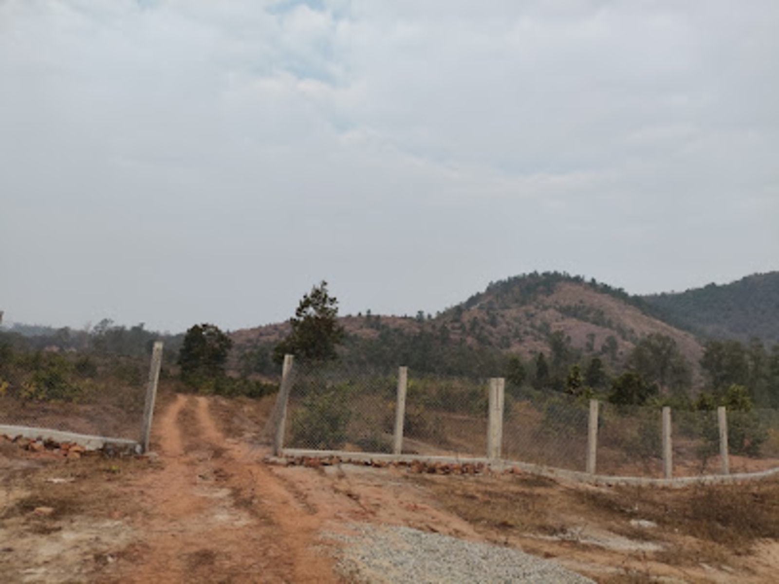 Taapa Pahar