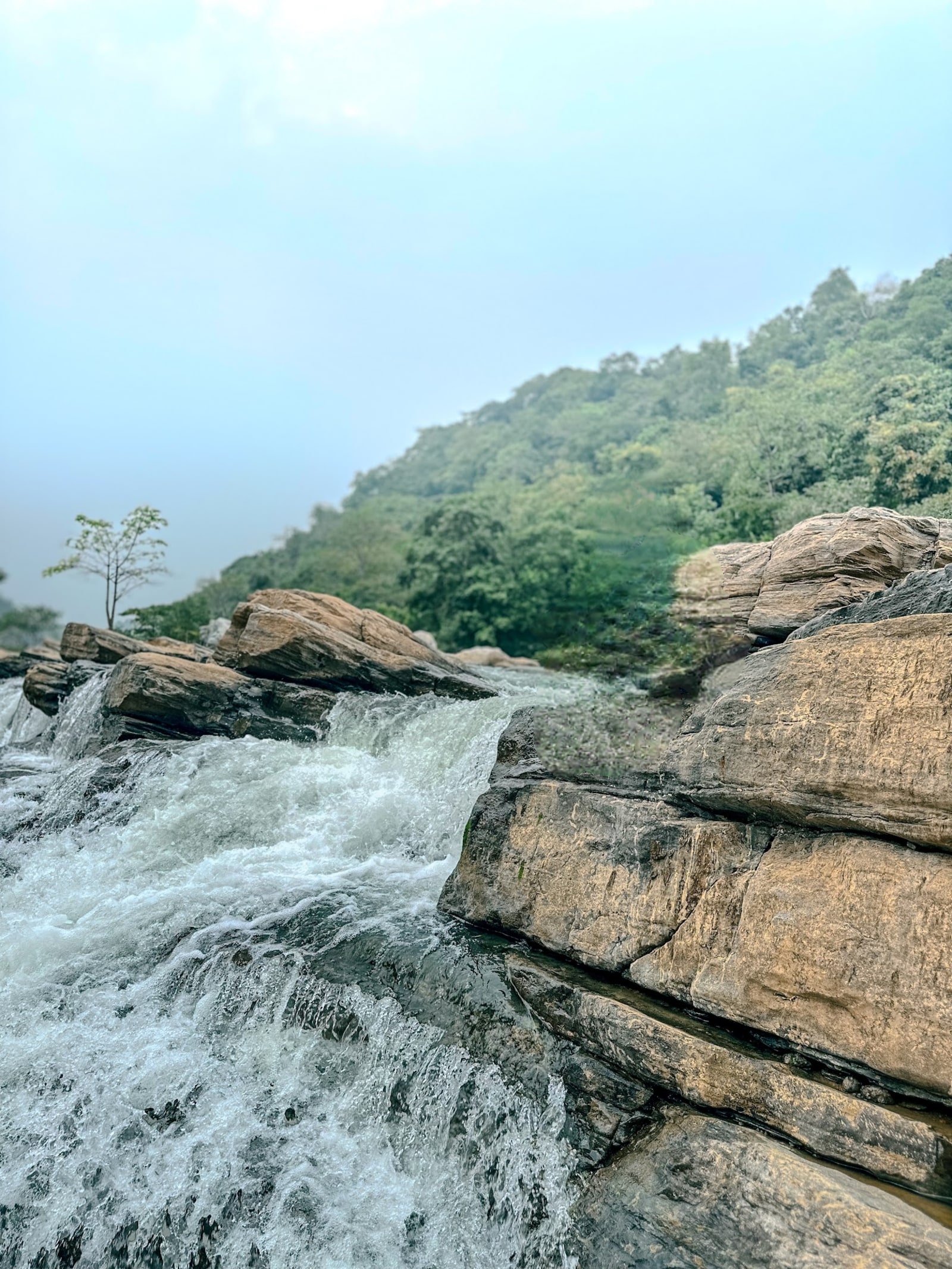 Tamasin Waterfall