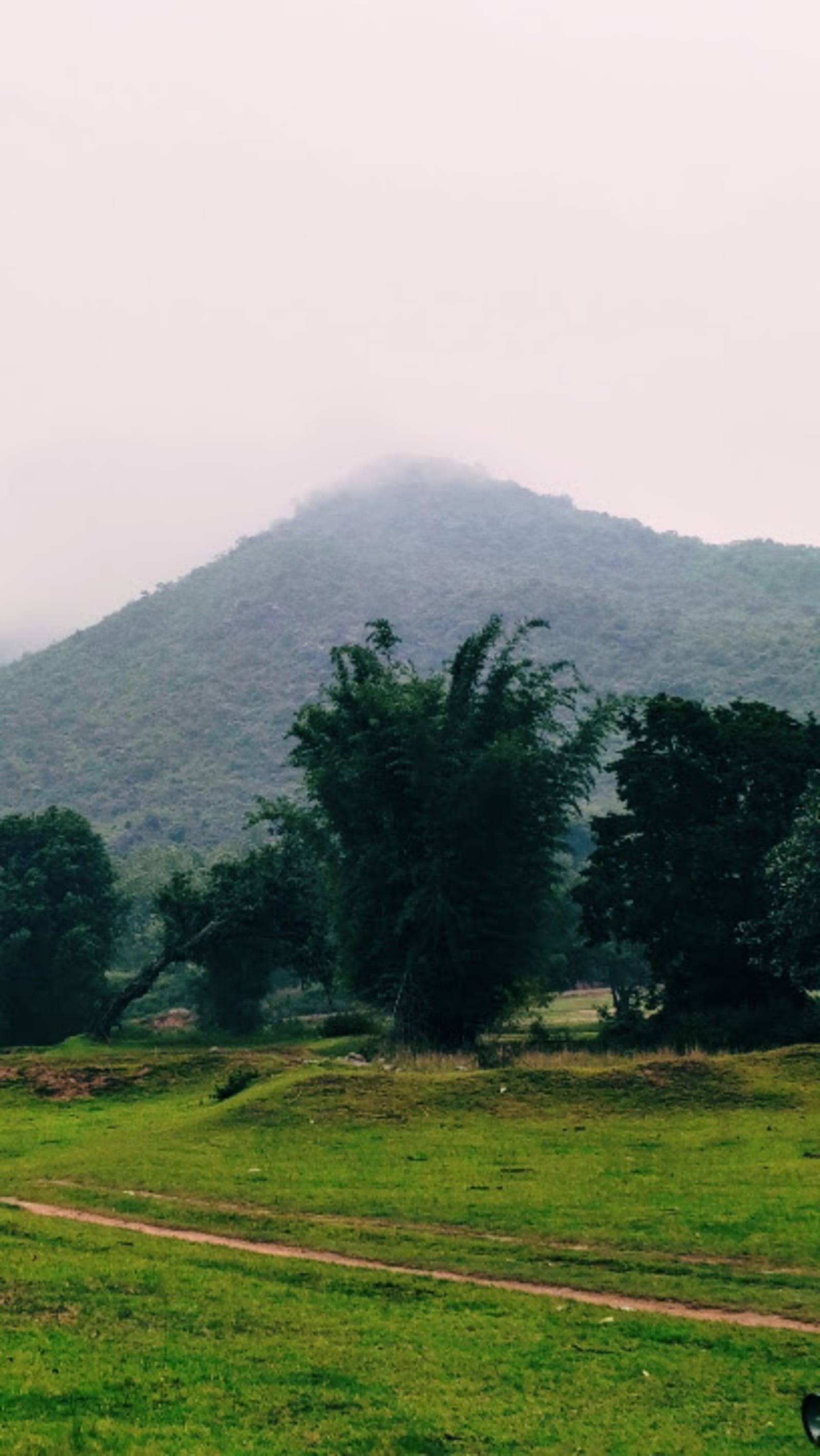 Upper Hisri Hills