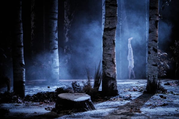 Neige - Image de scénographie 8