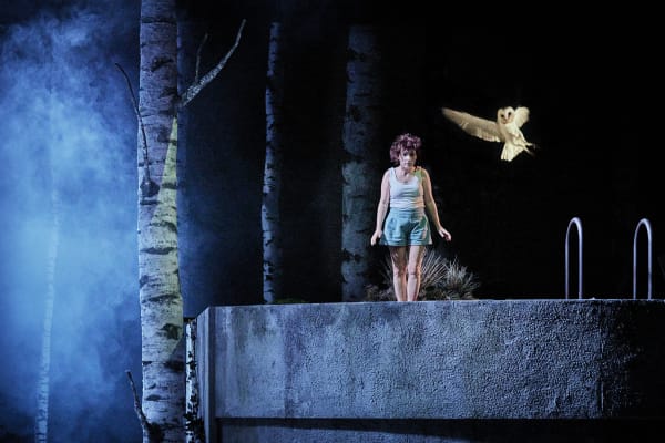 Neige - Image de scénographie 7