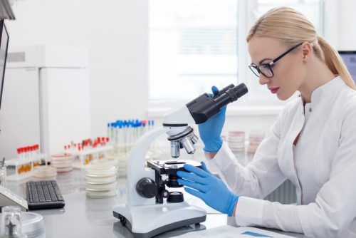 An infectious disease specialist works in a lab and looks through a microscope.