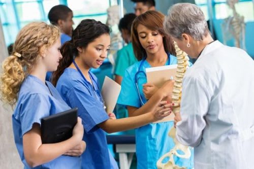 A nursing professor uses a model of a spine to teach three students.