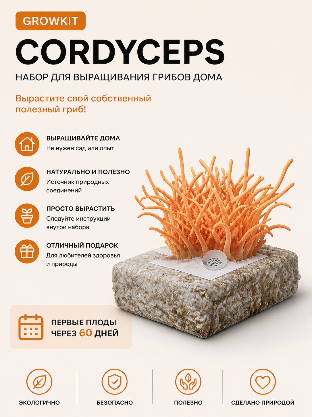 Cordyceps GrowKit