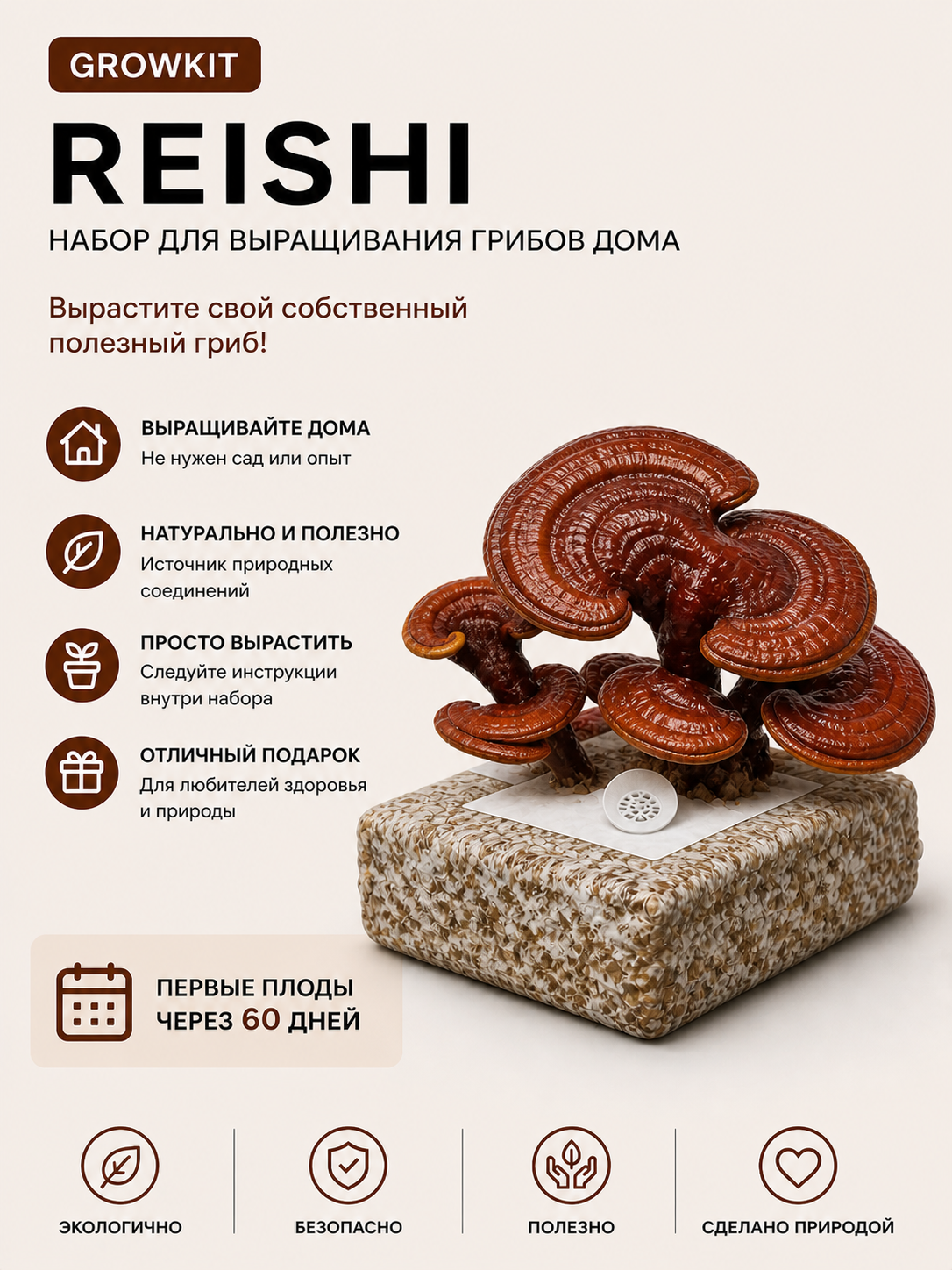 Рейши (Ganoderma Lucidum) GrowKit