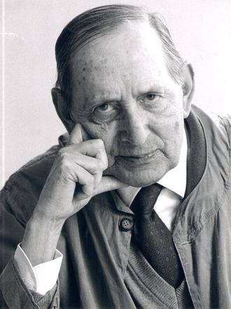 Miguel Delibes Stién