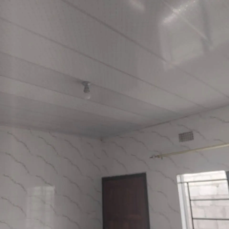 House for Rent - Image 3