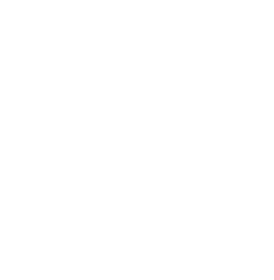 Ravian Logo