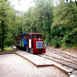 Ferrovia florestal em Pécs