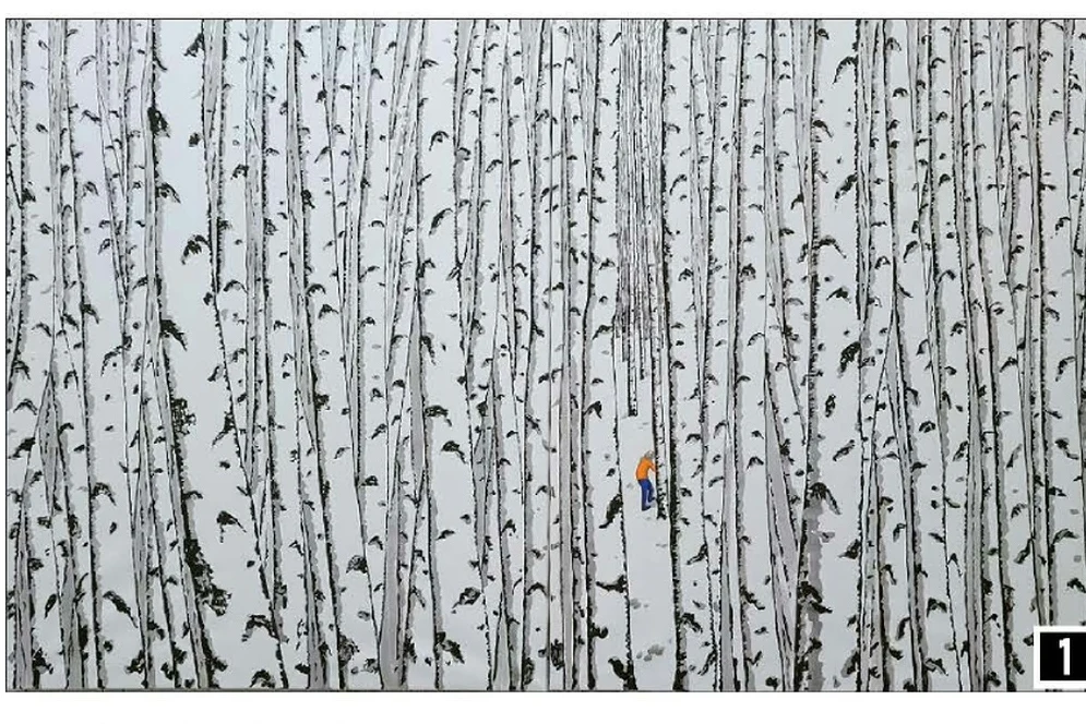 Couple Artists' Duo Exhibition 'From Nature'