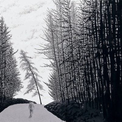 Into the Cedar Forest